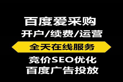 行业领先企业的SEM代运营成功之路